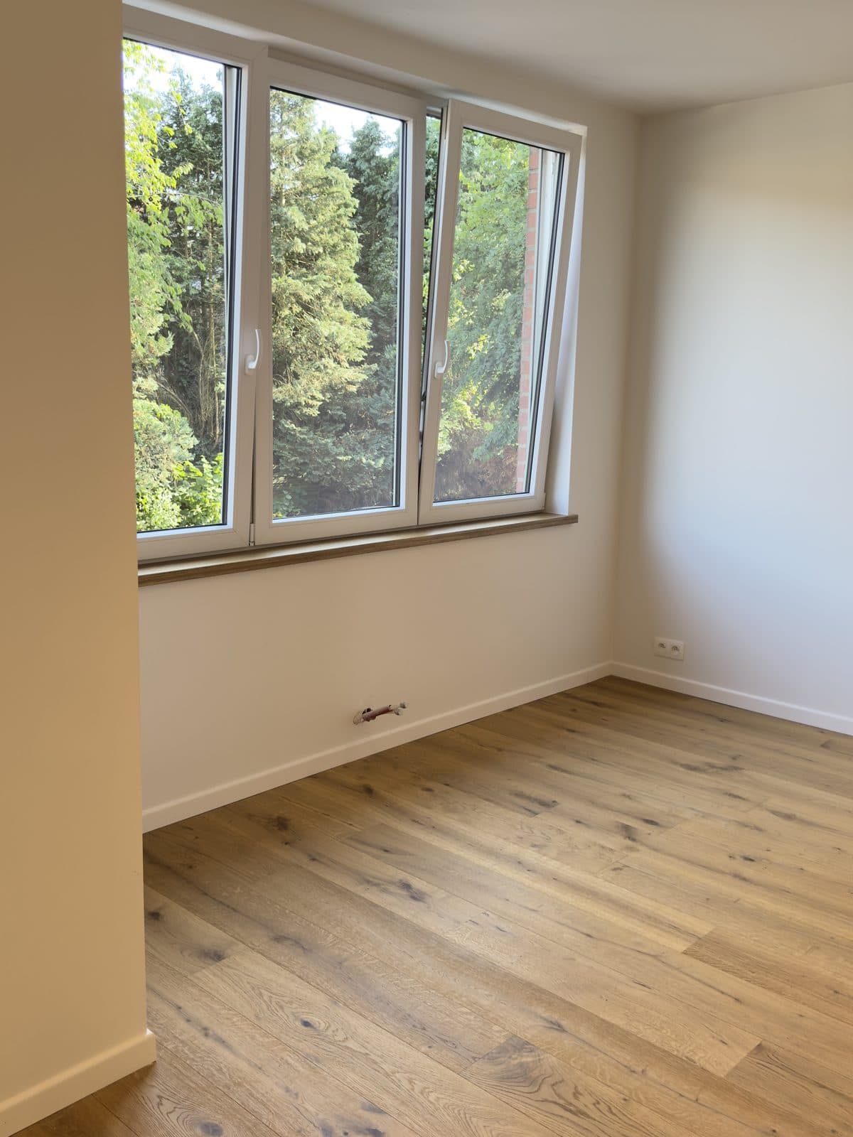Pièce livrée, fenêtre à trois vantaux sur les arbres et parquet en chêne rustique