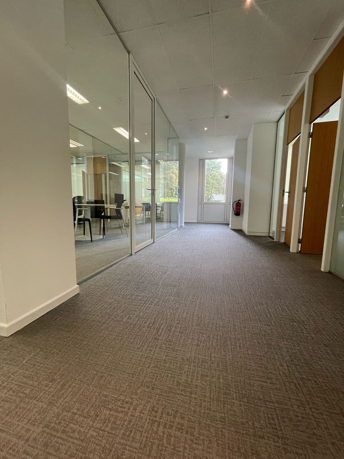 Couloir de bureaux terminé : dalles de moquette taupe, cloison vitrée et portes en bois